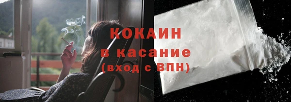 кокс Арсеньев