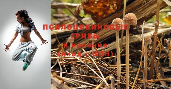 герыч Аркадак