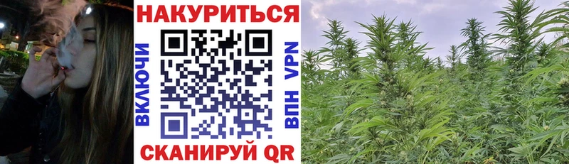 Бошки Шишки планчик  сколько стоит  Тында 